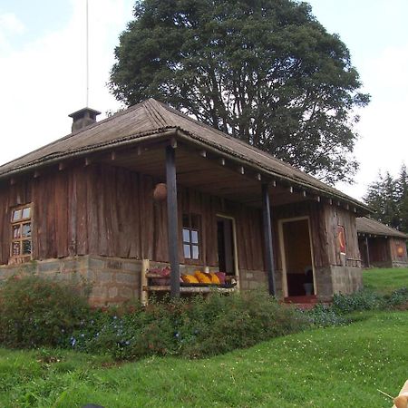 Castle Forest Lodge Mount Kenya National Park Экстерьер фото