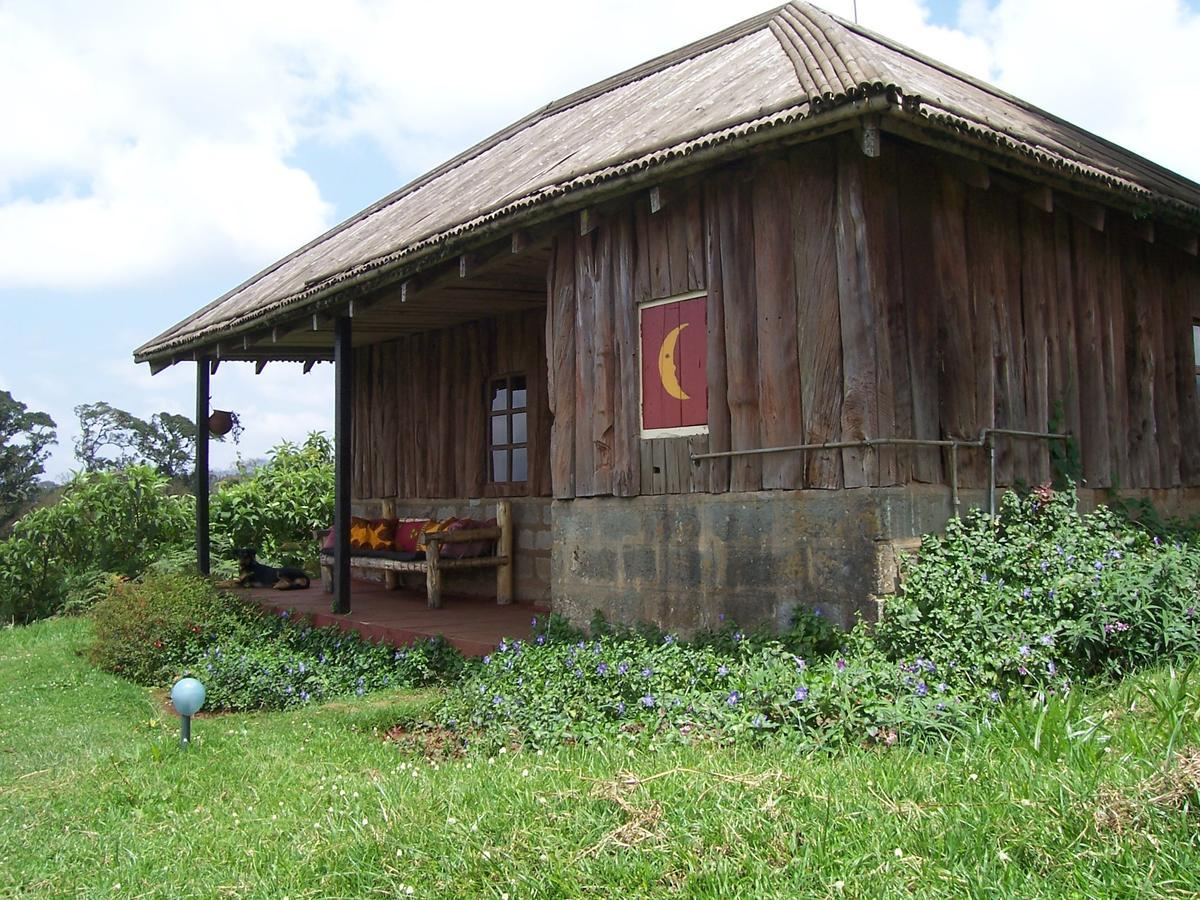 Castle Forest Lodge Mount Kenya National Park Экстерьер фото