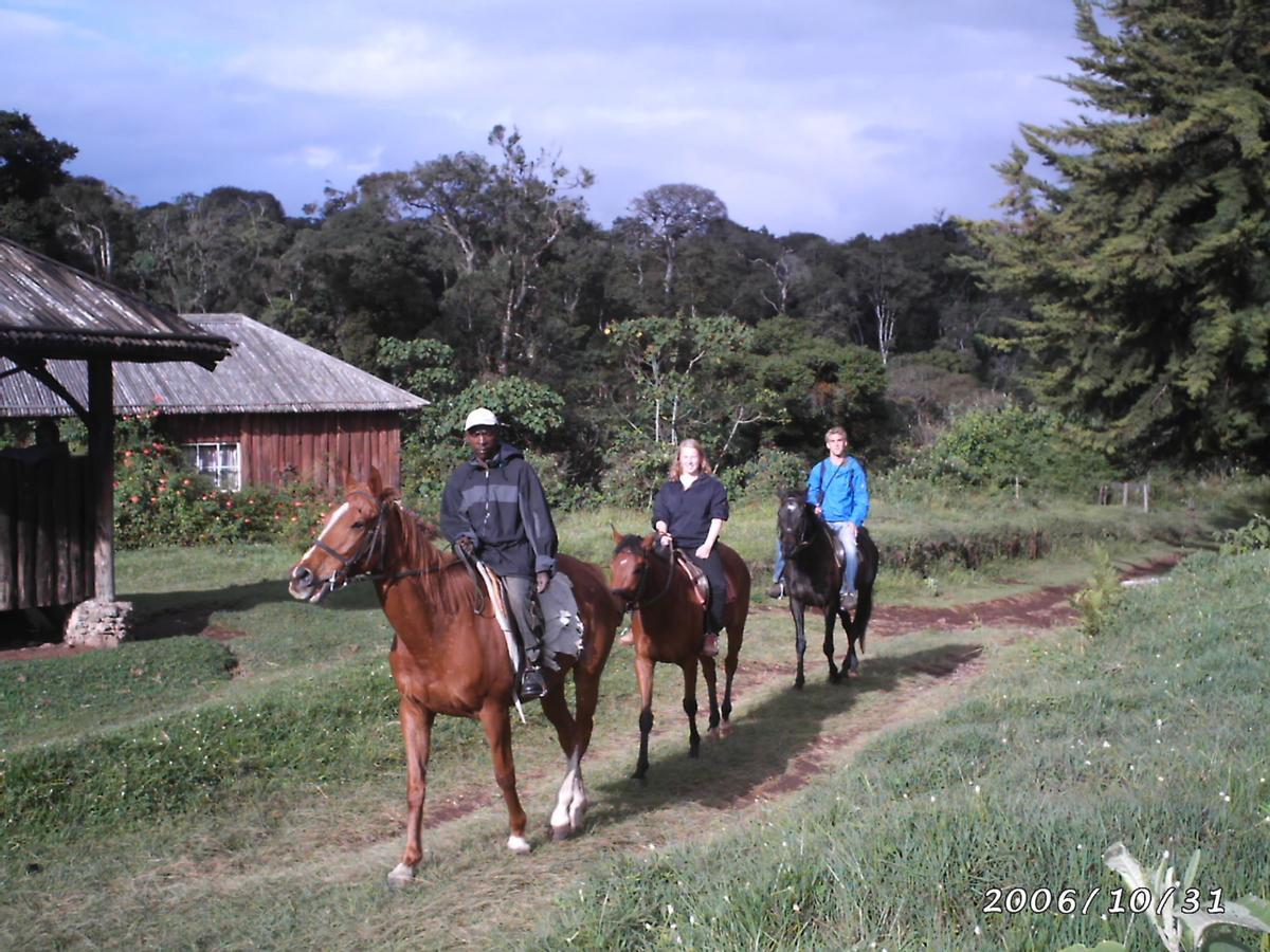 Castle Forest Lodge Mount Kenya National Park Экстерьер фото