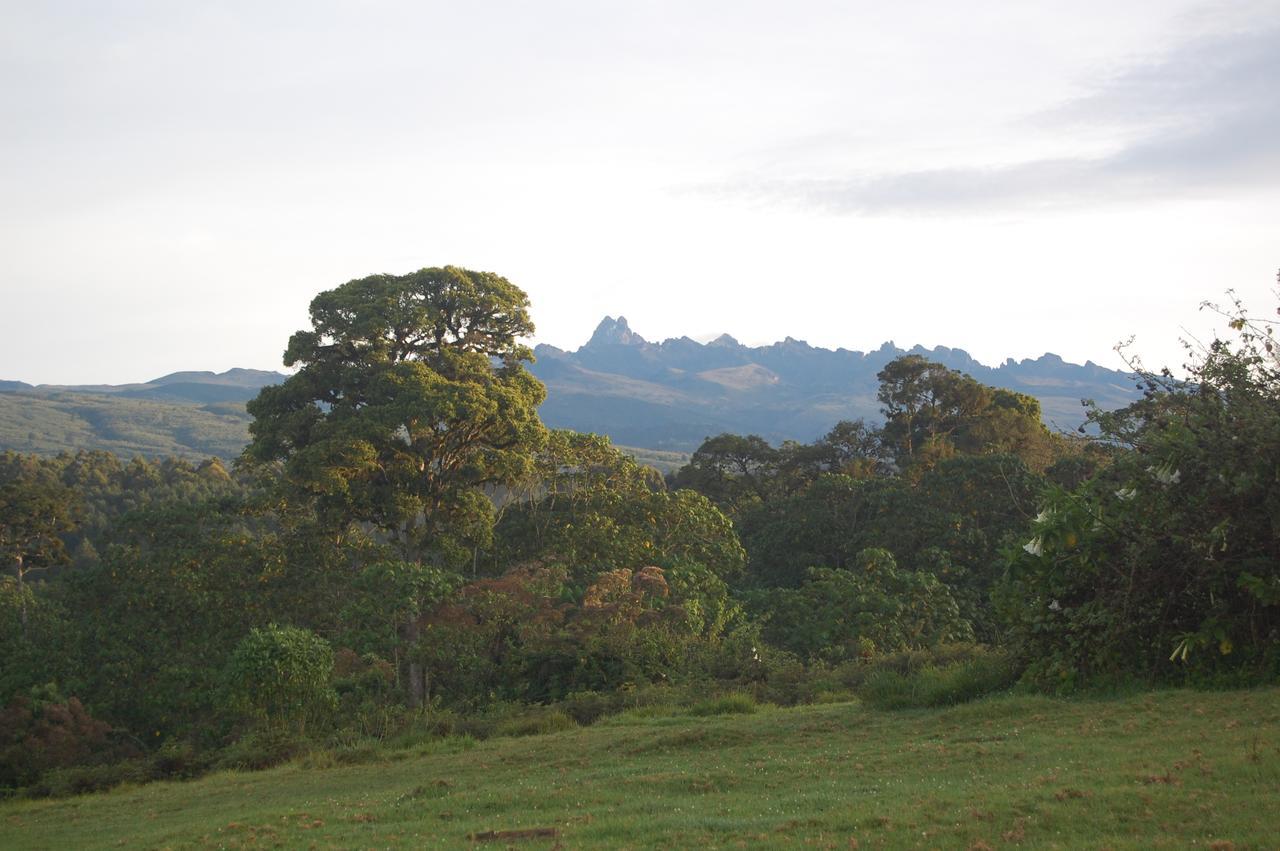 Castle Forest Lodge Mount Kenya National Park Экстерьер фото