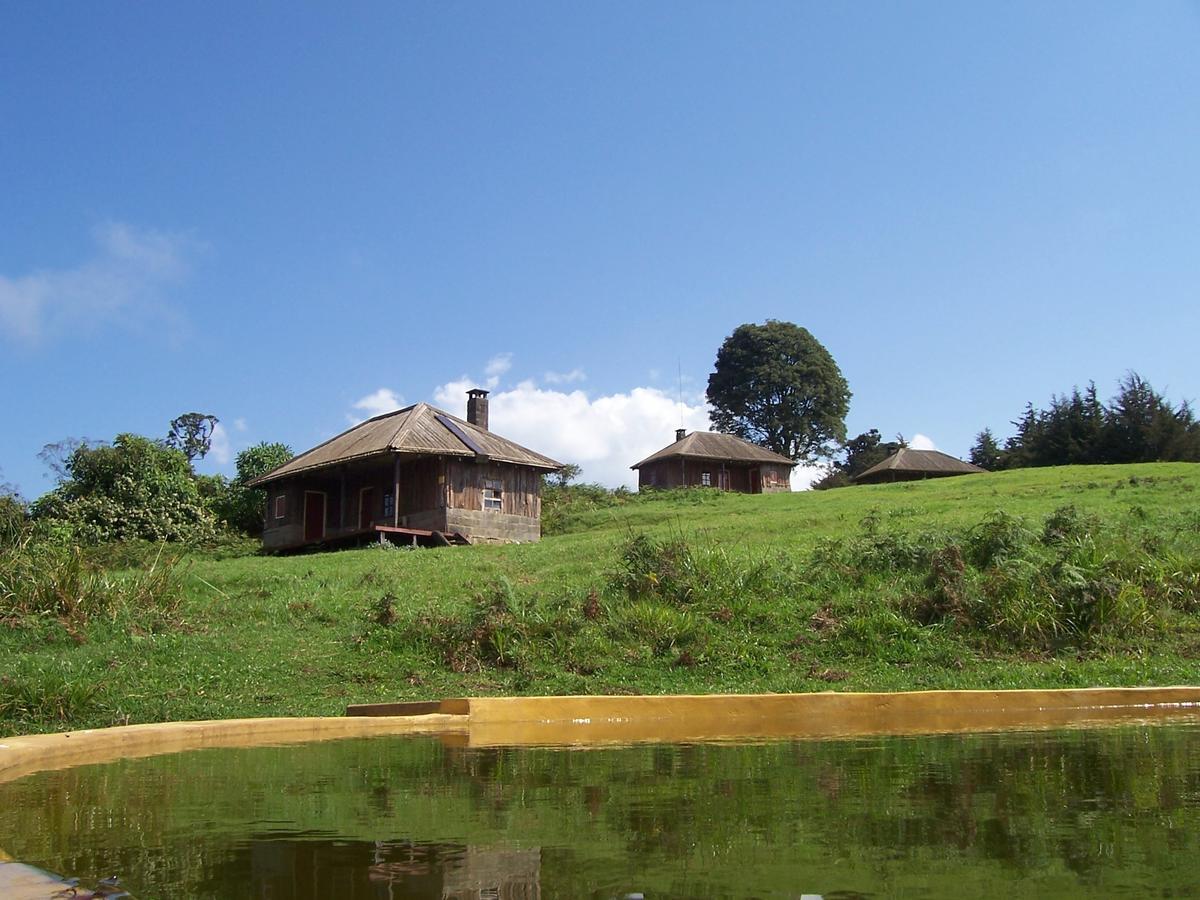 Castle Forest Lodge Mount Kenya National Park Экстерьер фото