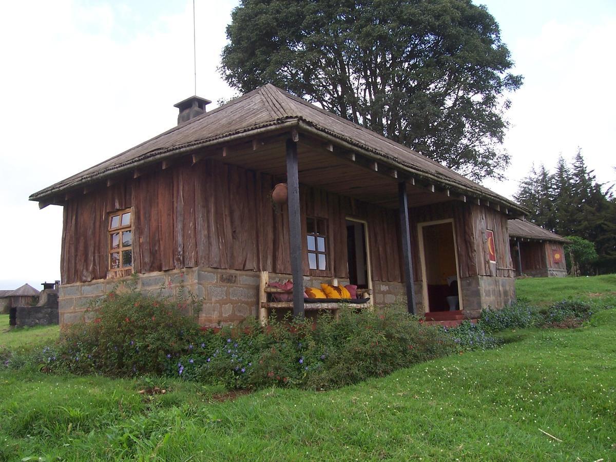 Castle Forest Lodge Mount Kenya National Park Экстерьер фото