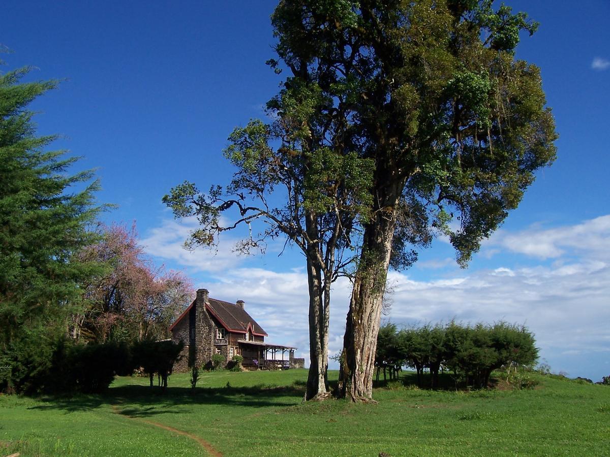 Castle Forest Lodge Mount Kenya National Park Экстерьер фото