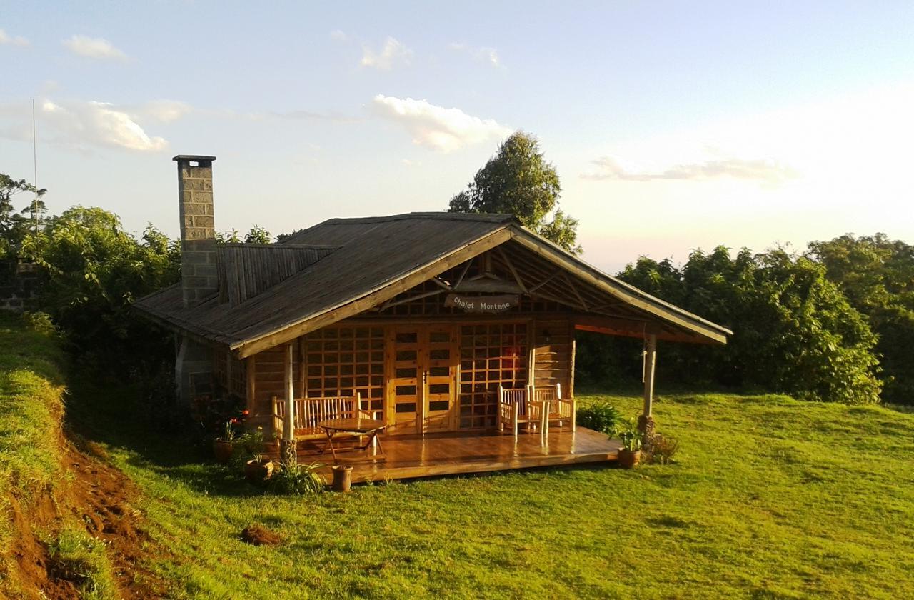 Castle Forest Lodge Mount Kenya National Park Экстерьер фото