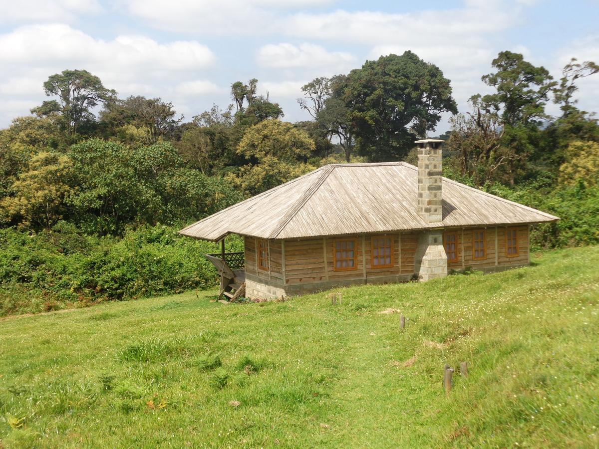 Castle Forest Lodge Mount Kenya National Park Экстерьер фото