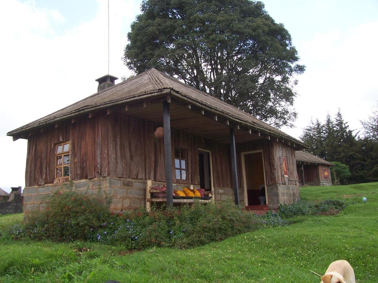 Castle Forest Lodge Mount Kenya National Park Экстерьер фото